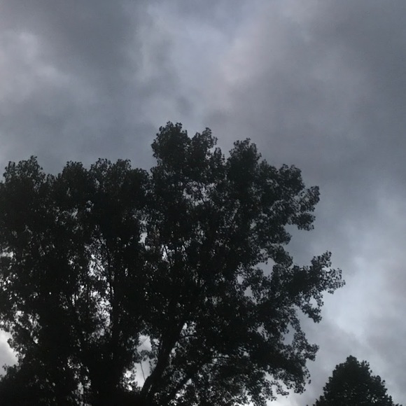 Meet your Posher, Heidi - Picture 1 of 1